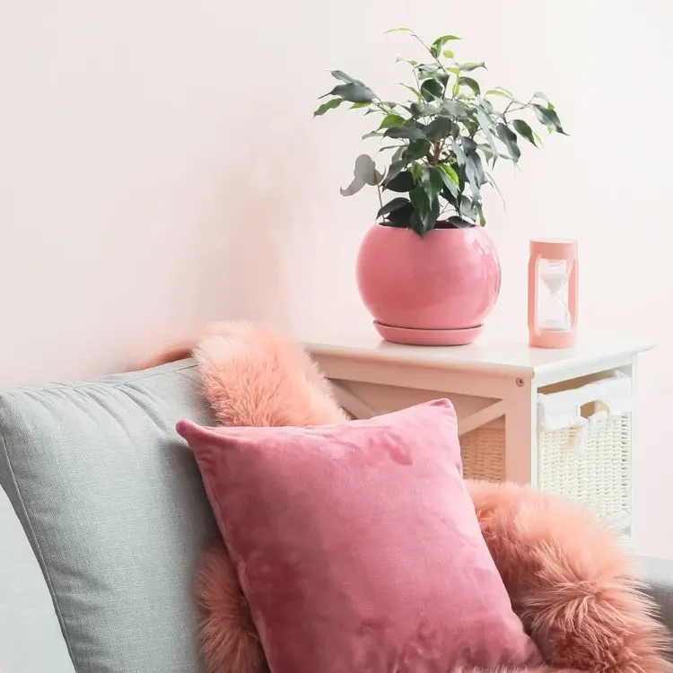En bild på en soffa med en filt och en planta på ett bord bredvid